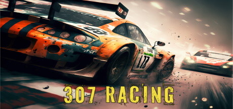 307 Racing